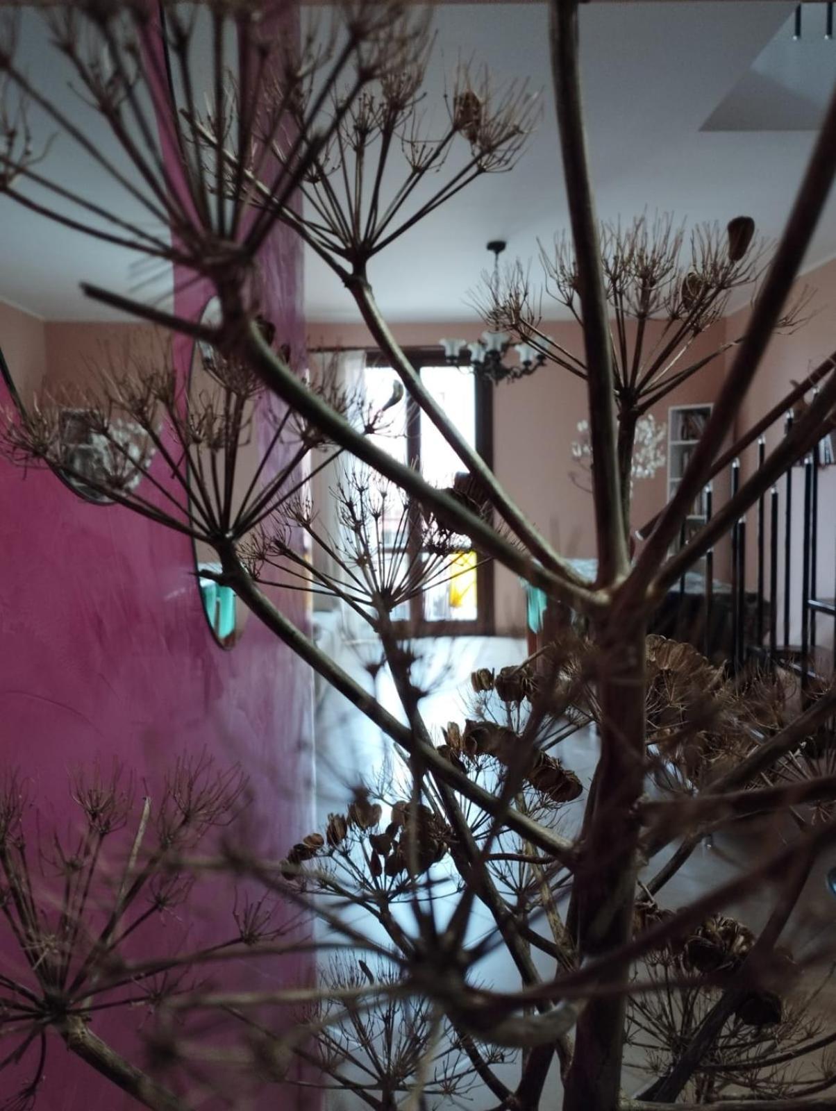 Bed and Breakfast Ferula Loft Sortino Экстерьер фото